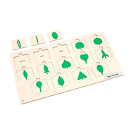 Types of Leaves Puzzle
