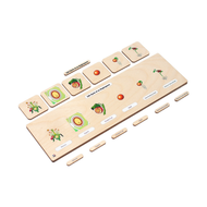 Life Cycle Puzzle: Angiosperm