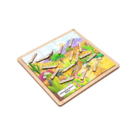 Subtropical Desert Biome Puzzle