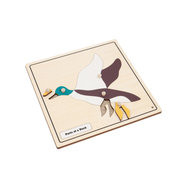 Parts of a Duck Knobbed Puzzle