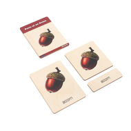 Parts of an Acorn Wooden Nomenclature Cards (3-6)
