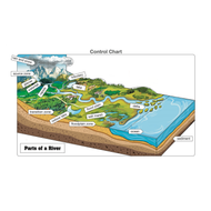Parts of a River Puzzle with Nomenclature Cards (6-9)