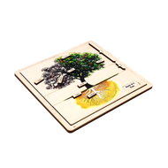 Parts of a Tree Puzzle