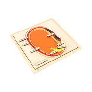 Parts of a Seed Puzzle