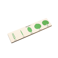 Types of Leaves Puzzle