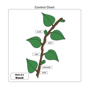 Parts of a Branch Puzzle