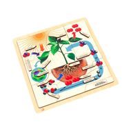 The Process of Photosynthesis Puzzle