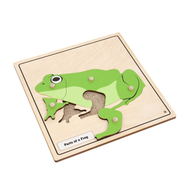 Parts of a Frog Knobbed Puzzle