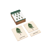 Types of Pine Trees Wooden Nomenclature Cards (3-6)