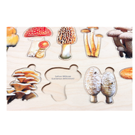 Types of Mushrooms Puzzle with Nomenclature Cards (Printed) (6-9)