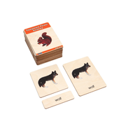 Temperate Forest Animals Wooden Nomenclature Cards (3-6) (Printed)