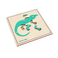 Parts of a Lizard Knobbed Puzzle
