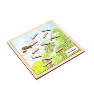 Polar Biome Puzzle