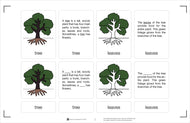 Parts of a Tree Nomenclature Cards 6-9