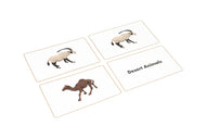Desert Animals Matching Cards