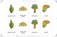 Subtropical Desert Biome Nomenclature Cards (3-6) (Printed)