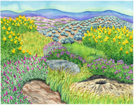 Biome Charts - Temperate Grassland Biome