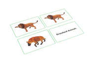 Grassland Animals Matching Cards