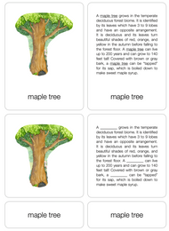 Temperate Deciduous Forest Biome Nomenclature Cards (6-9) (Printed)