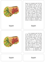 Chaparral Biome Nomenclature Cards (6-9) (Printed)