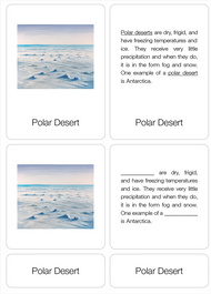 Types of Deserts Nomenclature Cards (6-9) (Printed)