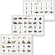 Function of Words: Safari (Cloth Control Chart with Decals)