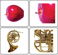 Whole to Part Matching Cards (Printed)