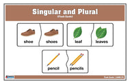 Singular and Plural - Flash Cards