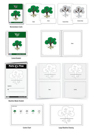 Parts of a Tree Puzzle Nomenclature Cards (3-6) (Premium Quality)