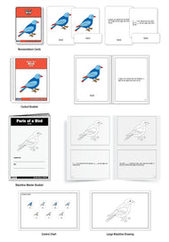 Parts of a Bird Puzzle Nomenclature Cards (6-9) (Premium Quality)