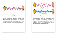 Sound Waves Research Cards