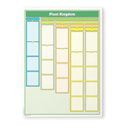 Plant Kingdom Chart w/ Cards