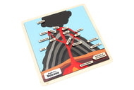 Parts of a Volcano Puzzle with Nomenclature Cards (6-9)