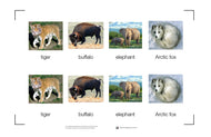 Animals Nomenclature Cards (Printed)
