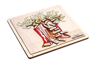 Parts of a Sea Anemone Puzzle