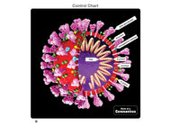 Parts of a Coronavirus Puzzle with Nomenclature Cards (6-9) (Printed)