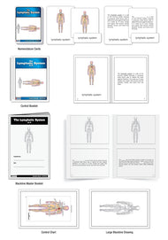 The Lymphatic System (Nomenclature Cards) (6-9)