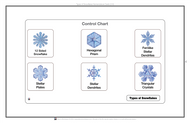 Types of Snowflakes Nomenclature Cards 3-6 (Printed)
