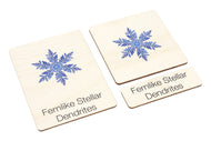 Types of Snowflakes Wooden Nomenclature Cards (3-6)