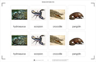Animals with Scales (Printed)
