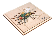 Parts of an Arthropod Puzzle with Nomenclature Cards (3-6)