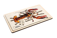Parts of a Crustacean Puzzle with Nomenclature Cards (6-9) (Printed)