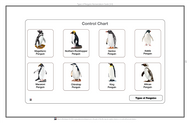 Types of Penguins Nomenclature Cards (3-6) (Printed)