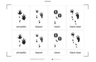 Animal Track Nomenclature Cards (Printed)