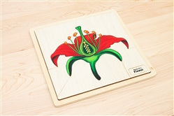 Botany Puzzles
