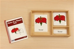 Science - Curriculum Materials
