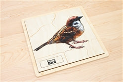Zoology Puzzles