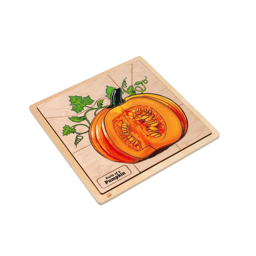 Parts of a Pumpkin puzzle with Nomenclature Cards (6-9)