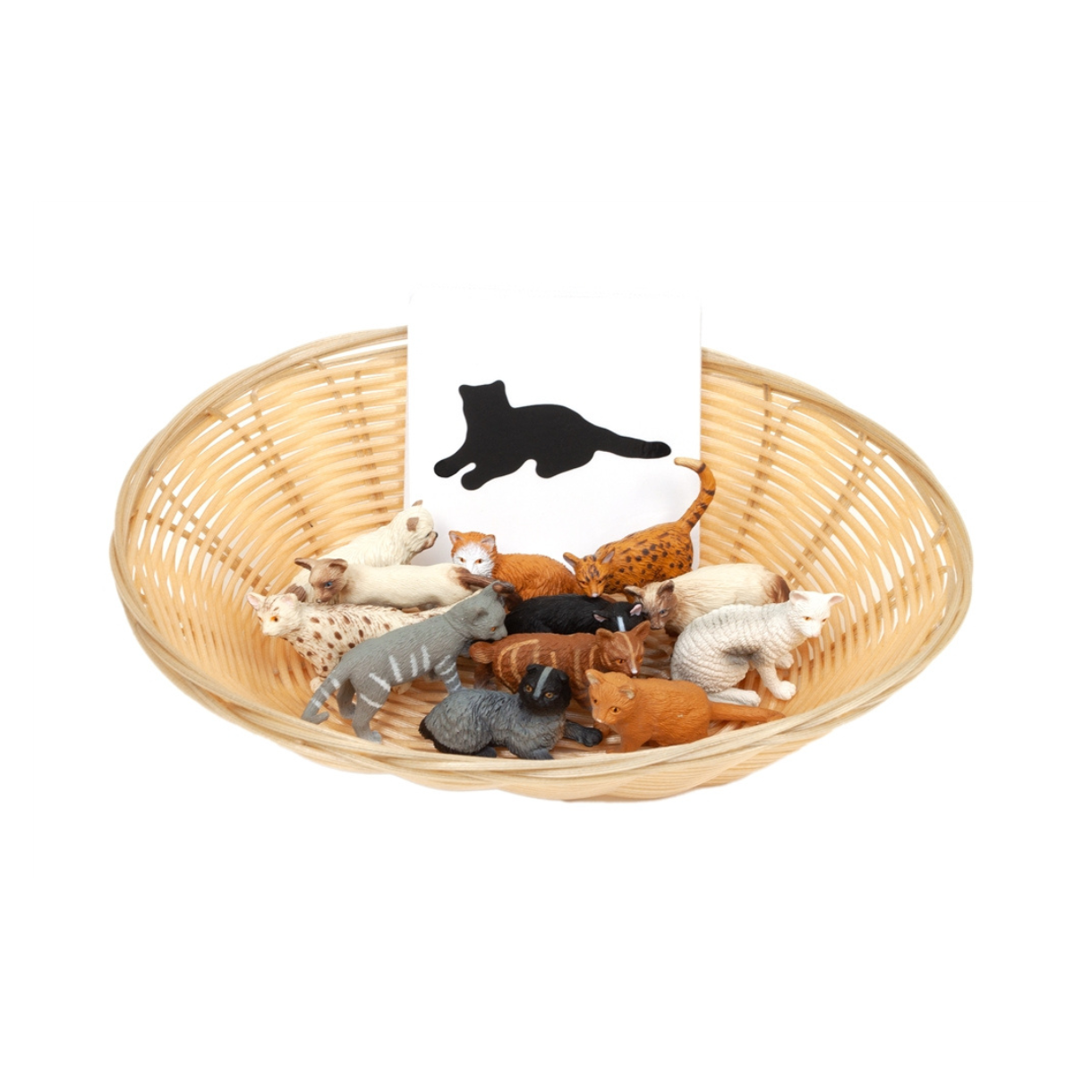 Object to Silhouette Matching: Domestic Cats