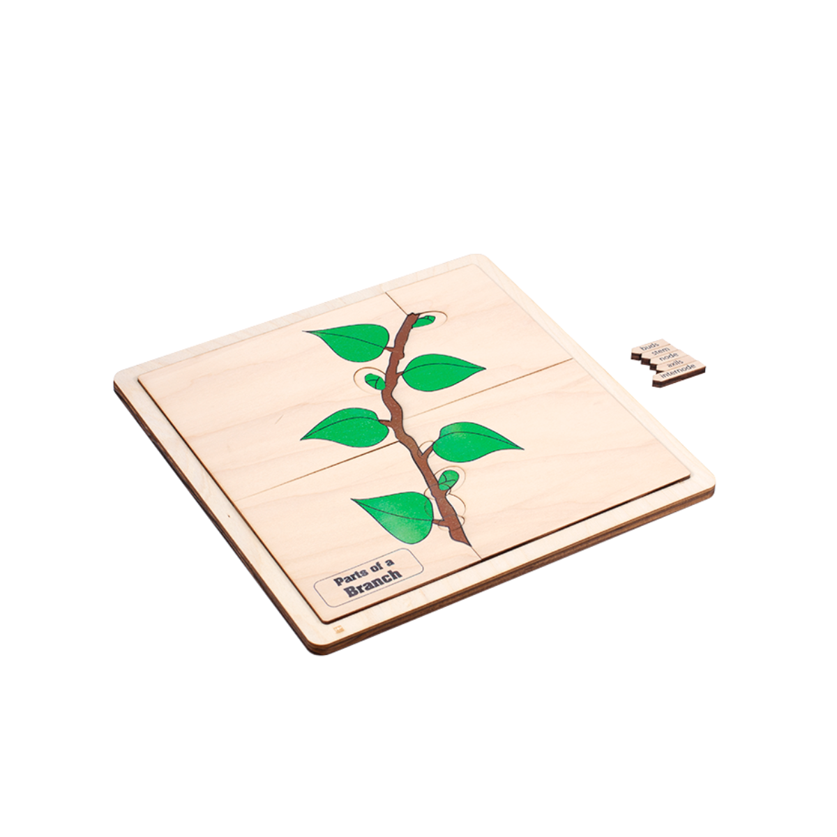 Parts of a Branch Puzzle with Nomenclature Cards (6-9)